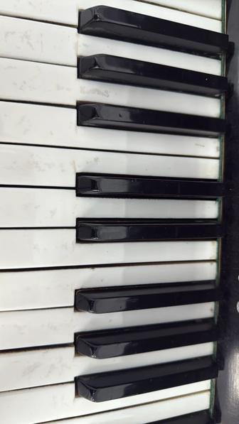 Частные уроки по фортепиано.