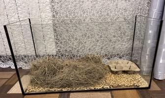 Продам аквариум