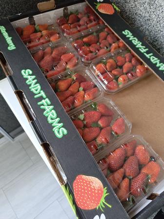 Клубника свежая оптом