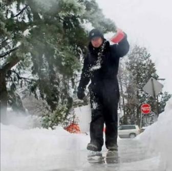 Технический соль