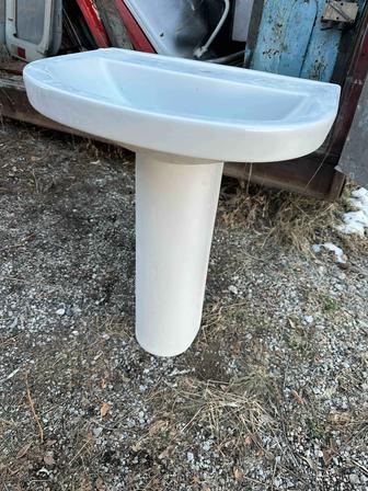 Раковина тюльпан