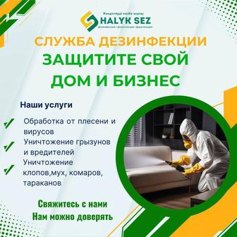 Дезинфекция от клопов и тараканов