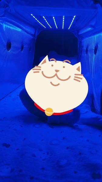 Фото лампа от желтушки