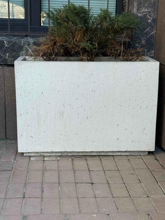 Отдам Вазон бетонный . Бесплатно