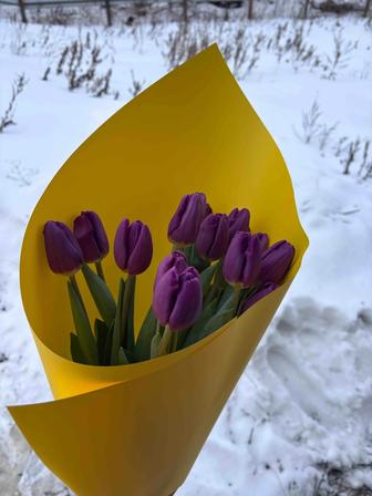 Букеты из тюльпан к 8 марта