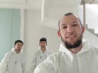 Шпаклевка ламинат обои краска