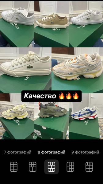 Лакосте кеды