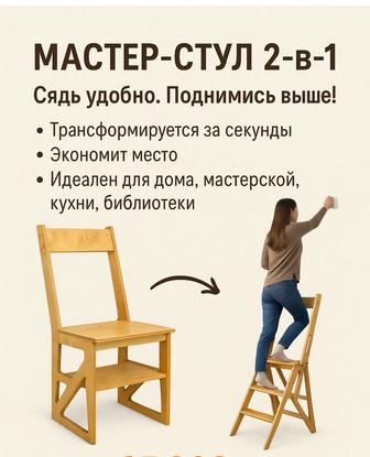 Мастер-стул 2 в1