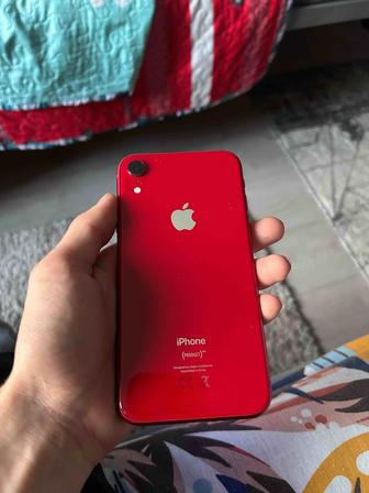 iPhone XR