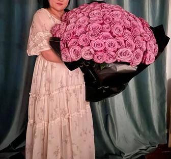 Цветы Роза Голландиялық
