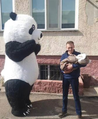 Аниматоры