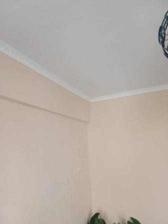 Ремонт Штукатурка