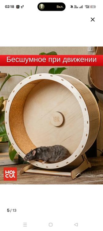 Колесо для грызунов большое