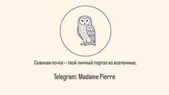 Подарочные боксы и мерч для фанатов