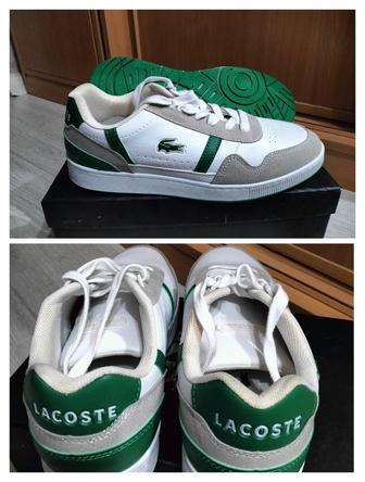 Продам новый красотка Lacoste