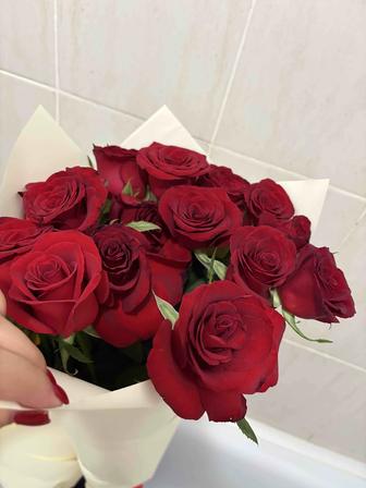 Свежие метровые розы