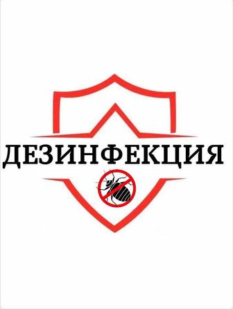 Дезинсекция, Дезинфекция