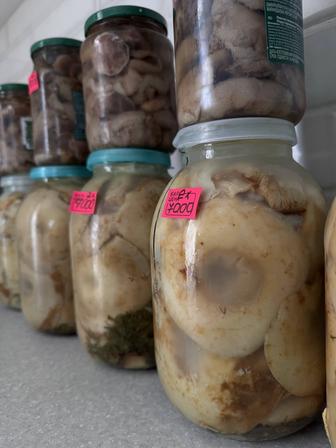 Продам грибы