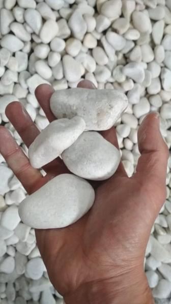 Галька белая Шымкент для. клумбы и цветника