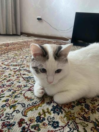 Ремонт бытовых холодильников