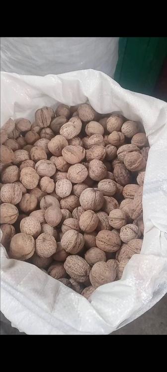 Жаңғақ орех Грецкий