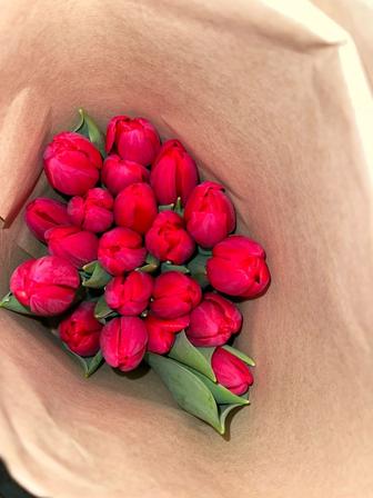 Тюльпаны голландские