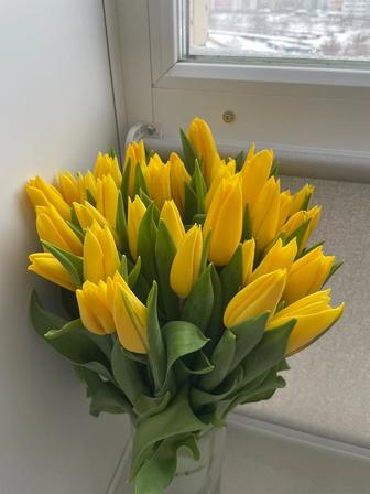 Тюльпаны розница. Голландские и Белорусские. Супер цена.