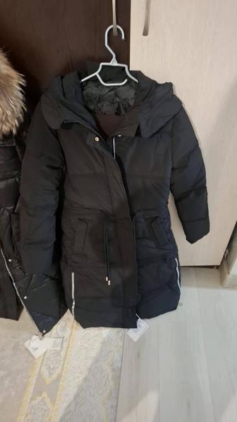 Одежда куртка