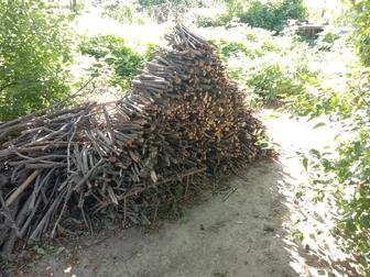 Продам дрова садовые