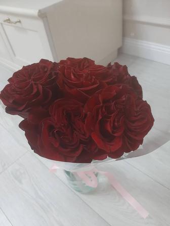 Продам цветы