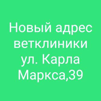 Ветеринарная клиника