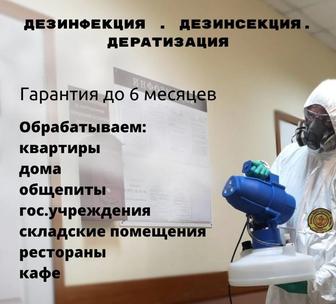 Дезинфекция