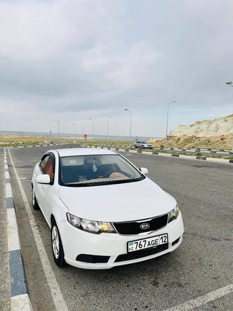 Аренда авто с водительом