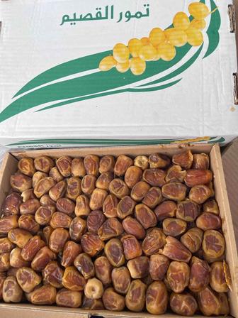 Финики Суккари