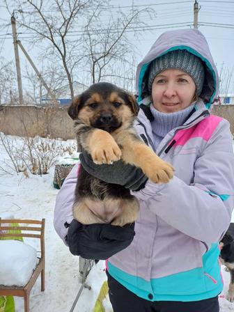 Большой выбор щенят в добрые руки,доставка