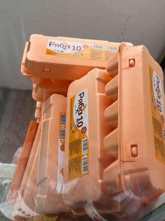 Продам лотки для куриных яйц на 10 шт