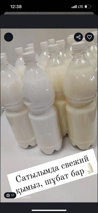 Кумыс,шубат