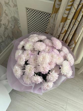 Живые цветы