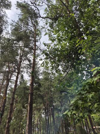 Мастер на час