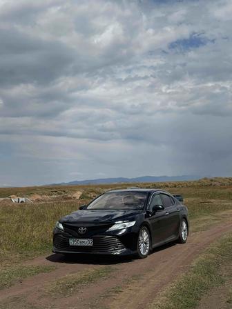 Кольсай Кайынды Чарын Медео и т д