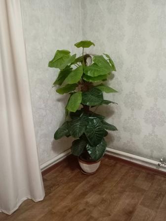 Продам искусственный фикус