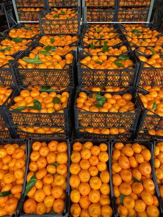 Оптовые поставки продуктов из Грузии без посредников
Мы находимся в Батум