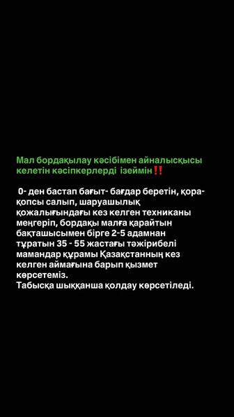 Профессиональная помощь в открытии бордақы шаруашылығы с нуля