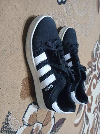 Адидас кампус