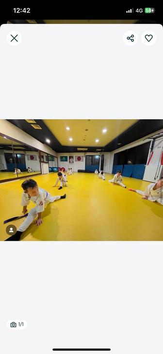 Татами для спортзала