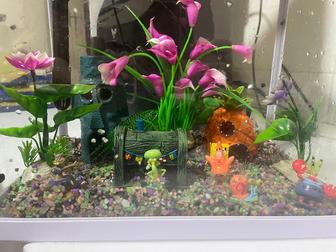 Аквариум с декором Губка Боб