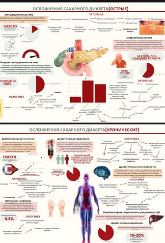 Рефераты/презентации/доклады