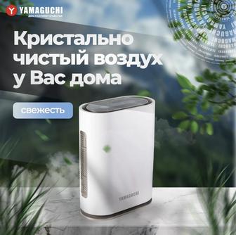 Очиститель воздуха Yamaguchi Oxygen (б/у)