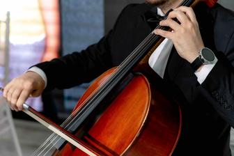 Виолончель, виолончелист, живая музыка, музыкант