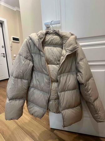 Продаю куртку осень-весна от Uniqlo
